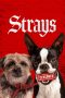 Nonton Film Strays (2023) Bioskop21