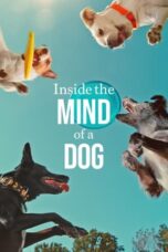 Nonton Film Inside the Mind of a Dog (2024) Bioskop21